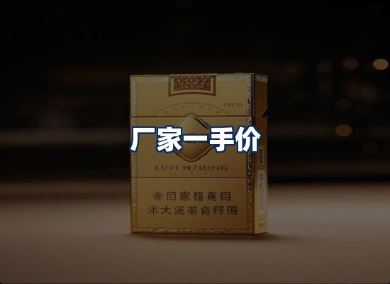 专业团队办公环境